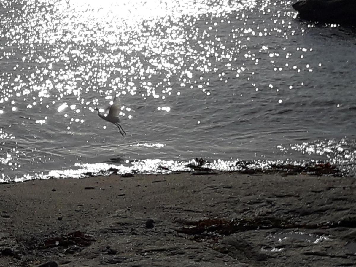Appartement Proche De La Mer Guilvinec エクステリア 写真